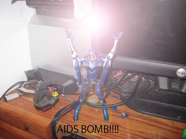 http://i149.photobucket.com/albums/s70/SEANWOOKIE/aidsbomb.jpg