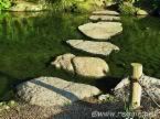 stepping stones