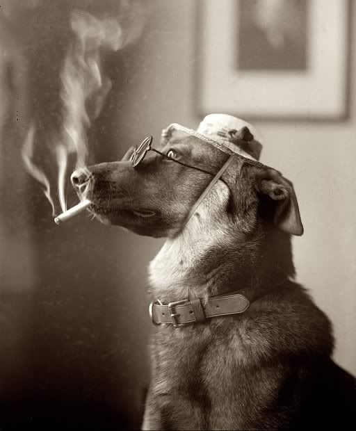 smoking_dog.jpg