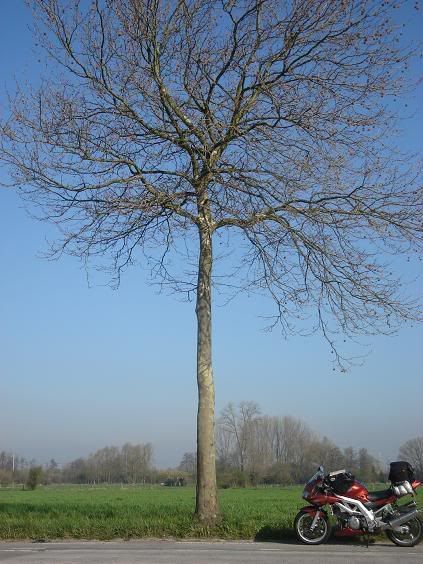 http://i149.photobucket.com/albums/s74/Maltese_Wizard/Belgium/071SomewhereWestofArras-NorthFrance.jpg