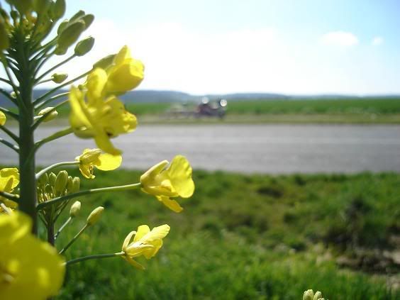http://i149.photobucket.com/albums/s74/Maltese_Wizard/Belgium/073LunchStopjustoutsideEstreeWamin-.jpg