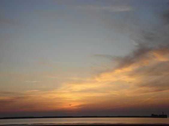 http://i149.photobucket.com/albums/s74/Maltese_Wizard/Belgium/096SunsetOverBoulogne-Sur-MerBeach-.jpg