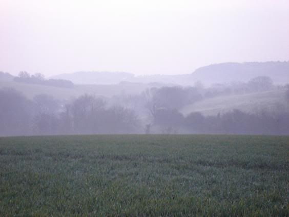 http://i149.photobucket.com/albums/s74/Maltese_Wizard/Belgium/102EarlyMorningHeadingNorthfromWime.jpg