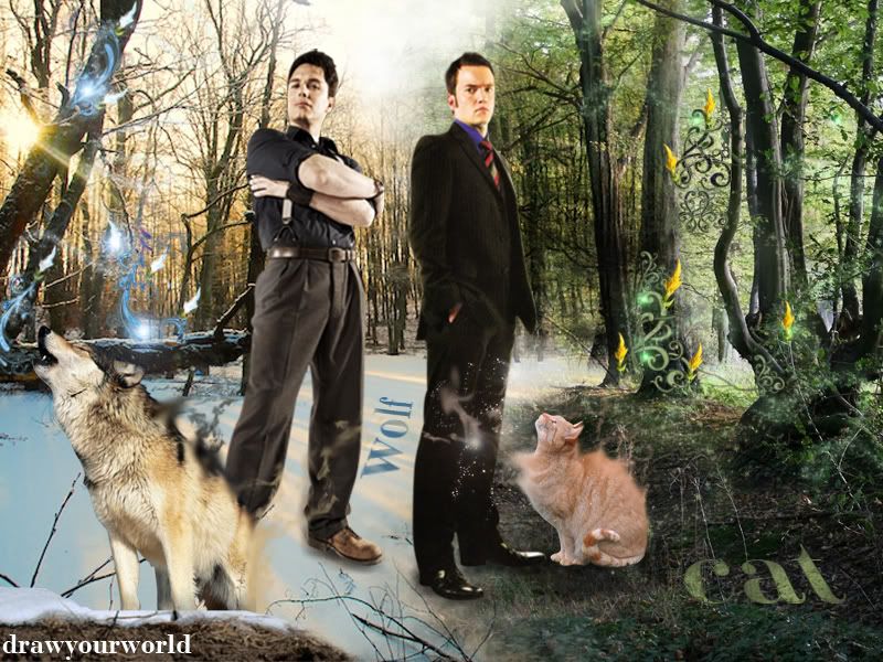 wallpapers wolf. a wolf and Ianto is a cat,