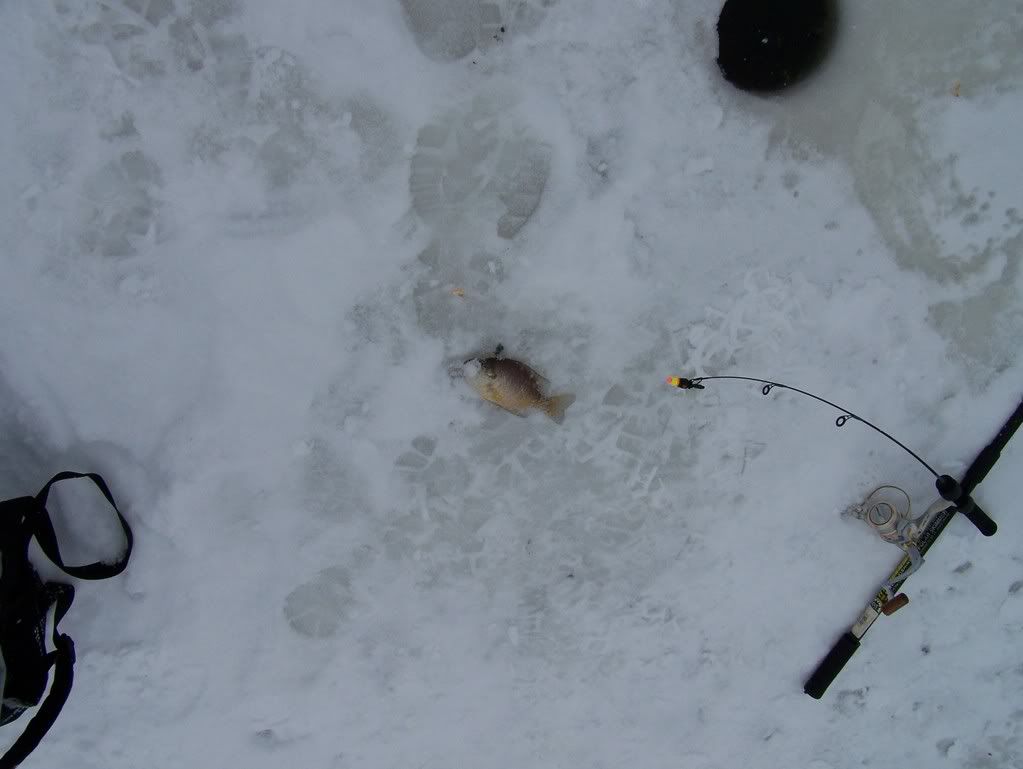 Icefishing004.jpg