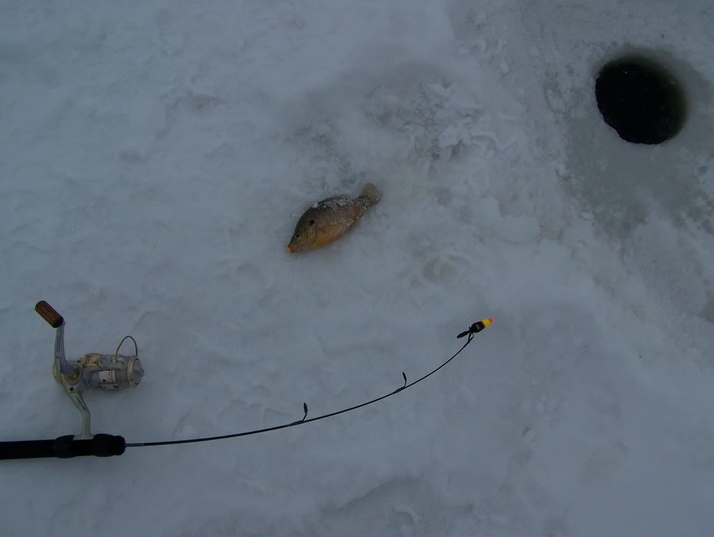 Icefishing005.jpg