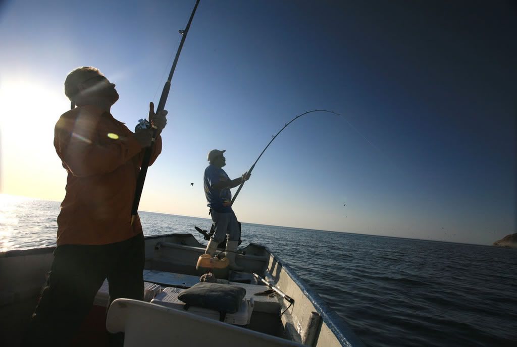 FishOn.jpg
