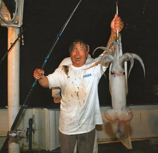 Kilandsquid.jpg