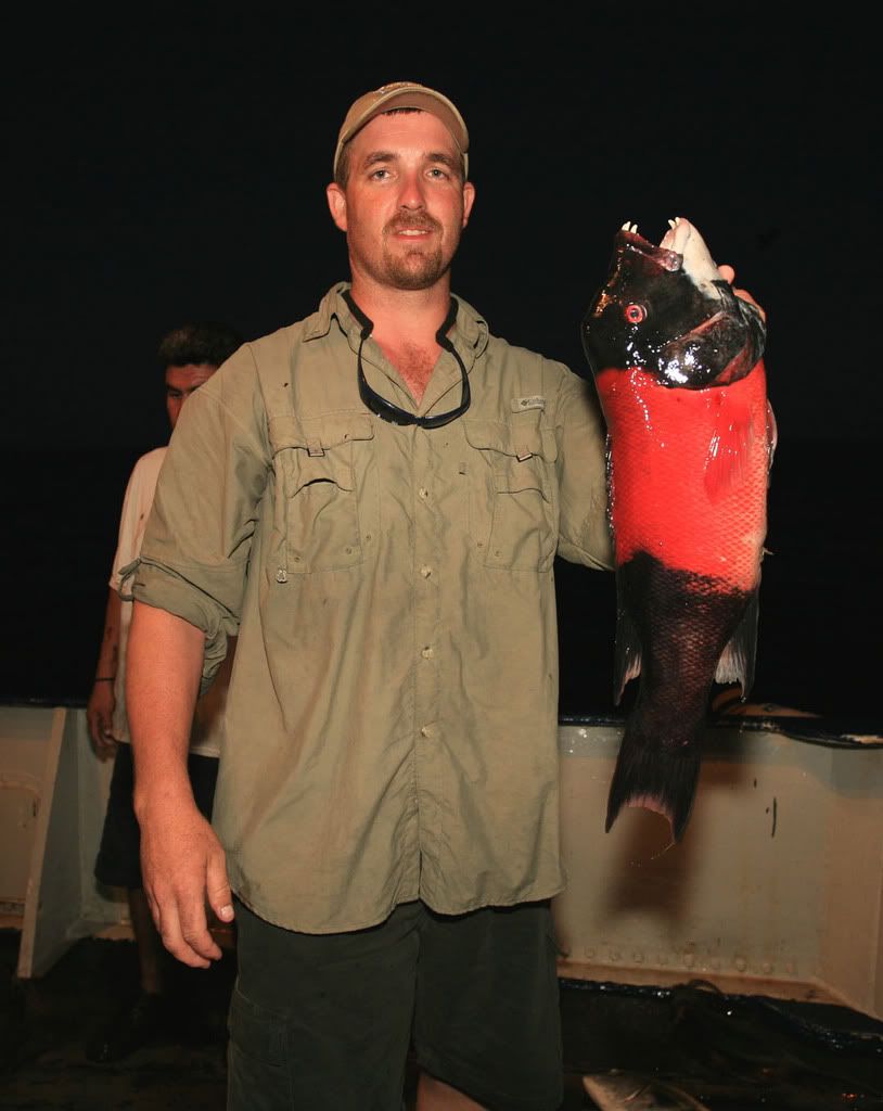 Sheepshead.jpg