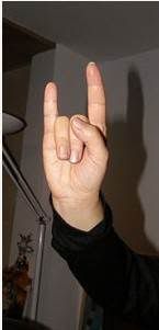 horn sign horn sign hand gesture