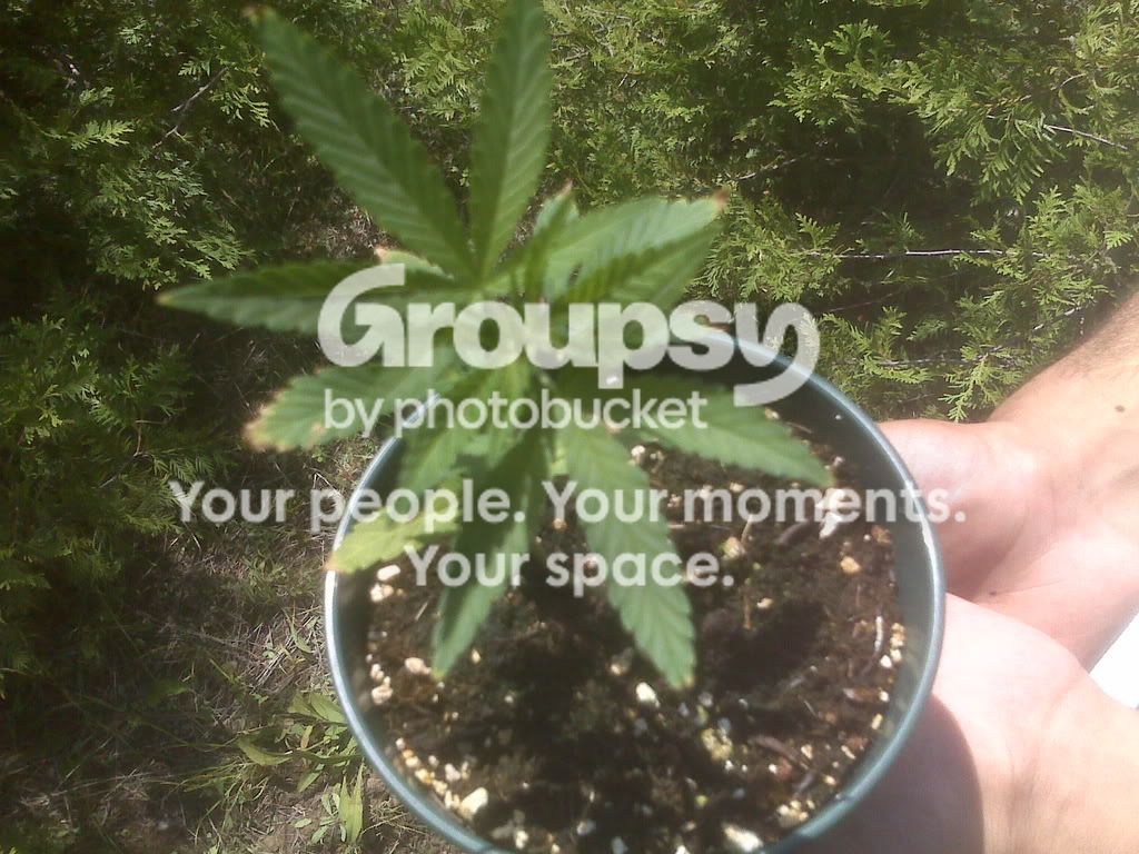 IMG00050.jpg