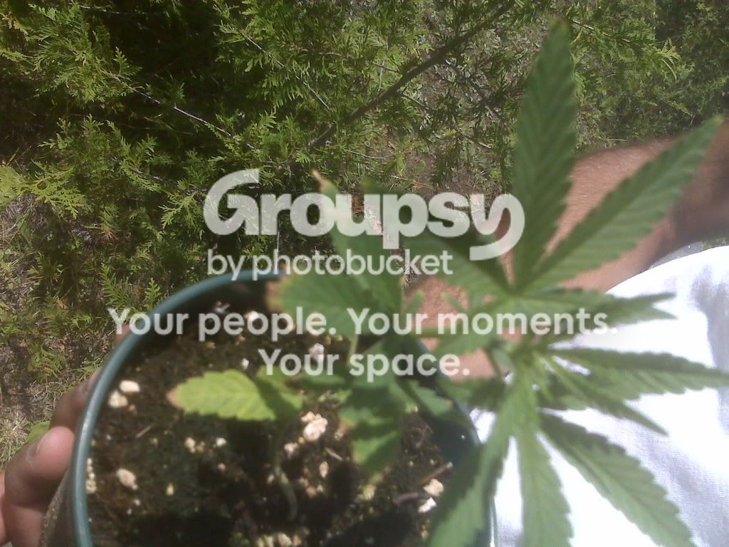 IMG00051.jpg