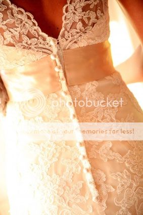 Embroidered Overlay or Lace Design on Sheer Fabric