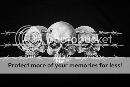 skulls Pictures, Images and Photos