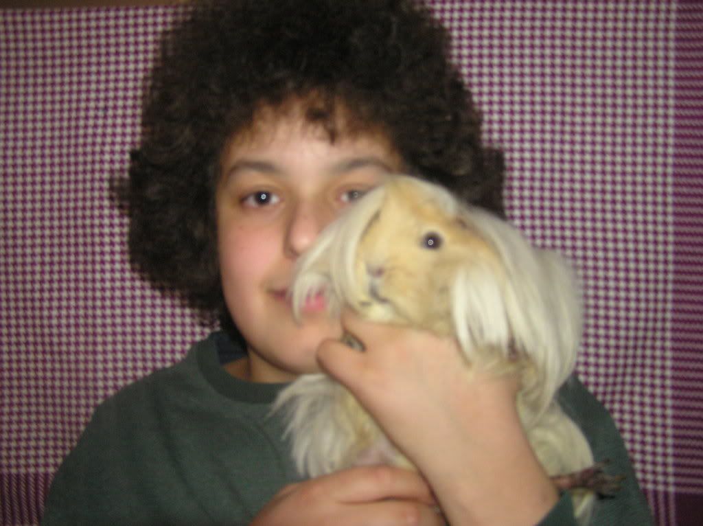 Guineapigtures010.jpg