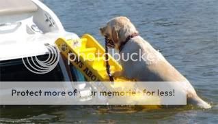 New Paws Aboard Doggy Boat Ladder, Dog Steps Ramp  