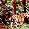 Belize