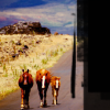 Easter Island