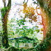 Nicaragua