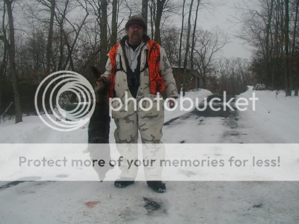 http://i149.photobucket.com/albums/s66/mox_ct/CoyoteChristmas2009.jpg