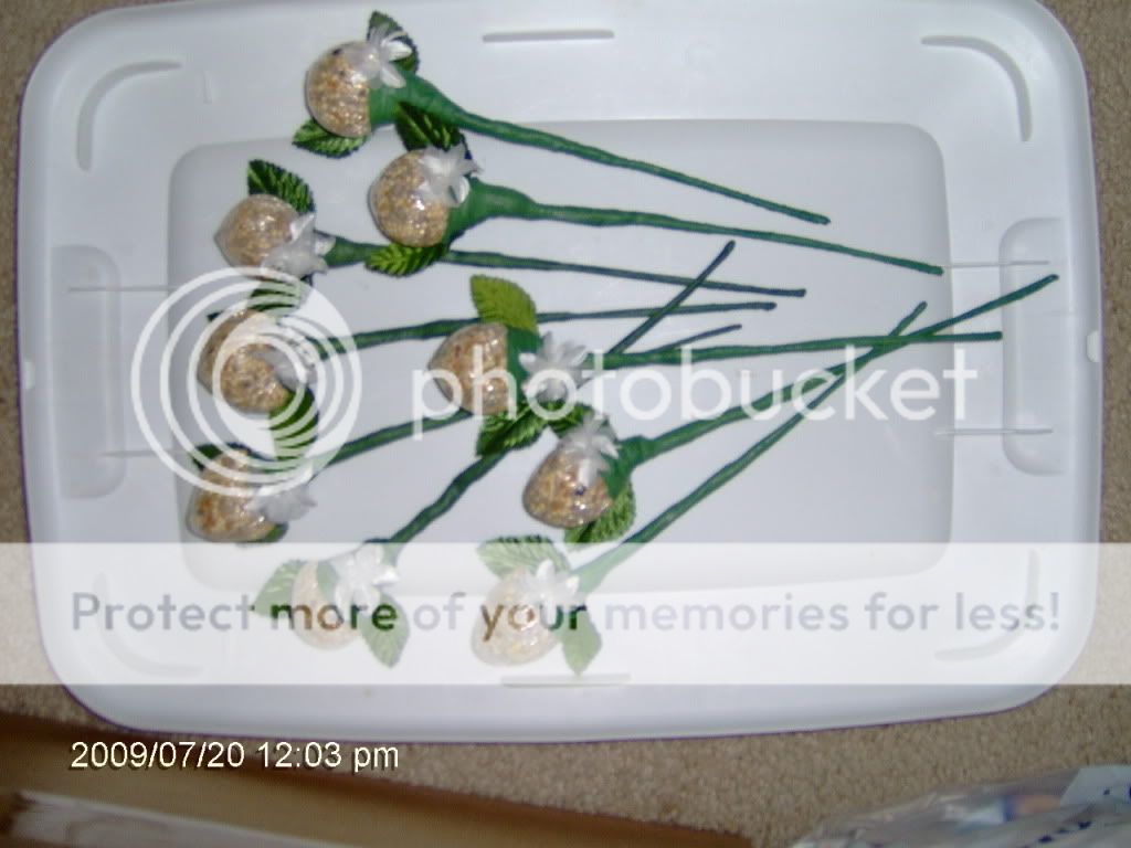 my new white birdseed roses are so cute, ask about a special order 