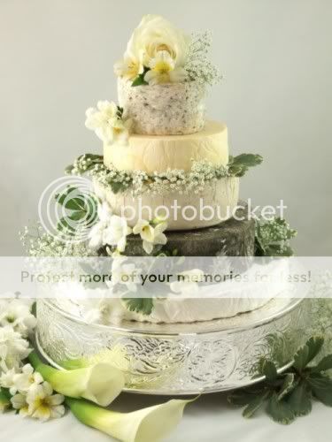 CakeXmed.jpg%20Cheese%20cake%20image%20by%20fincastle