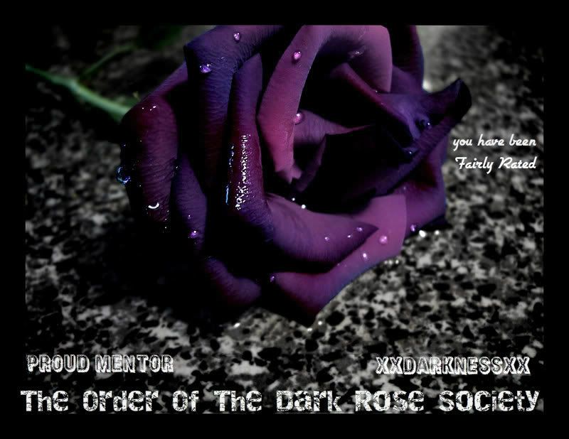 dark_rose_by_ladyarabella-1