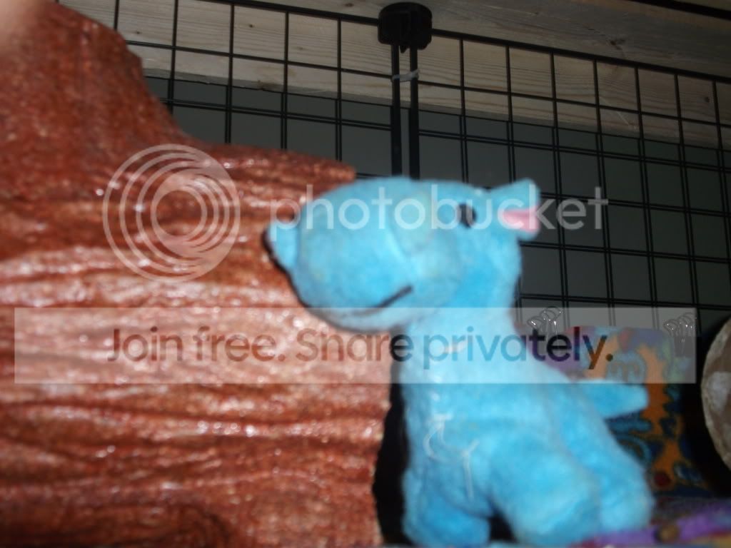 DSCF3012.jpg