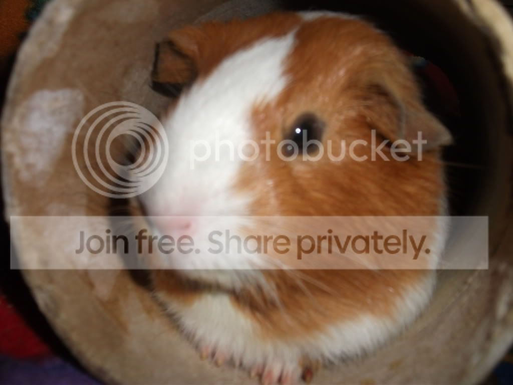 DSCF3020.jpg