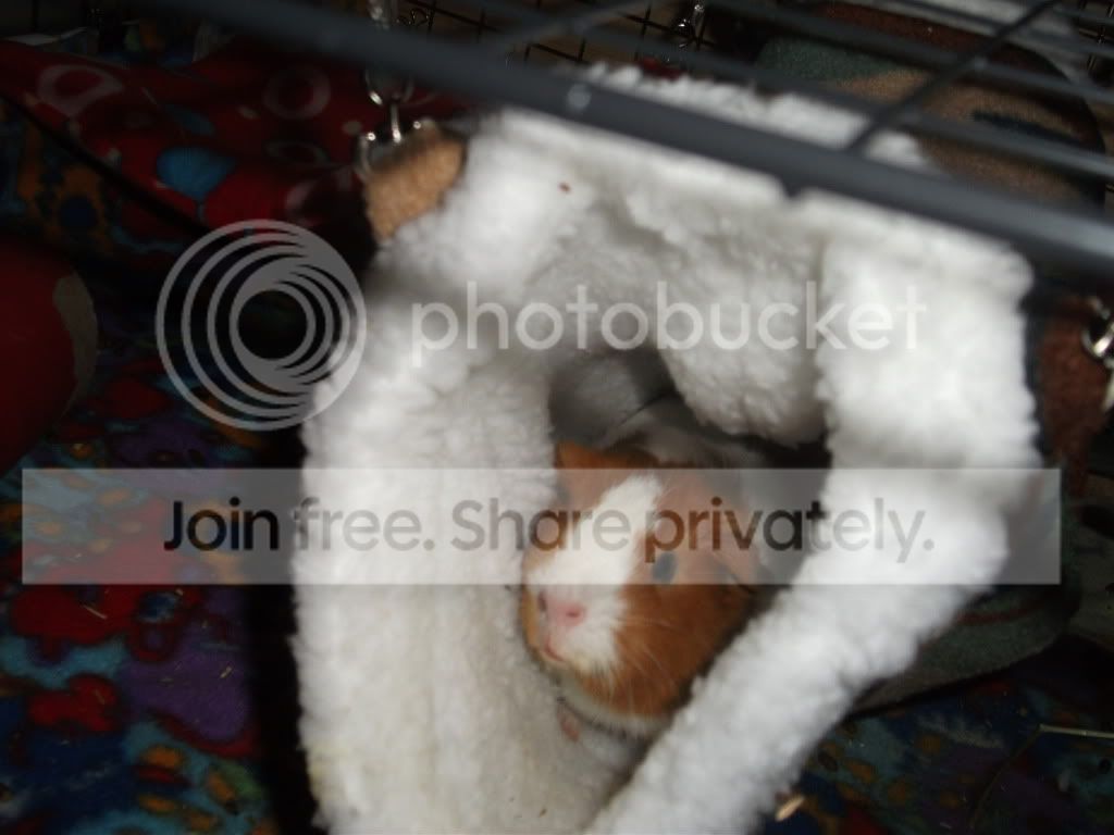 DSCF3031.jpg