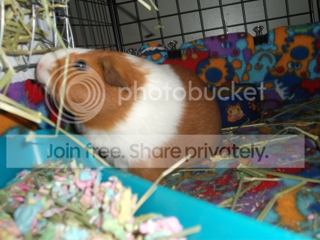 DSCF3032.jpg