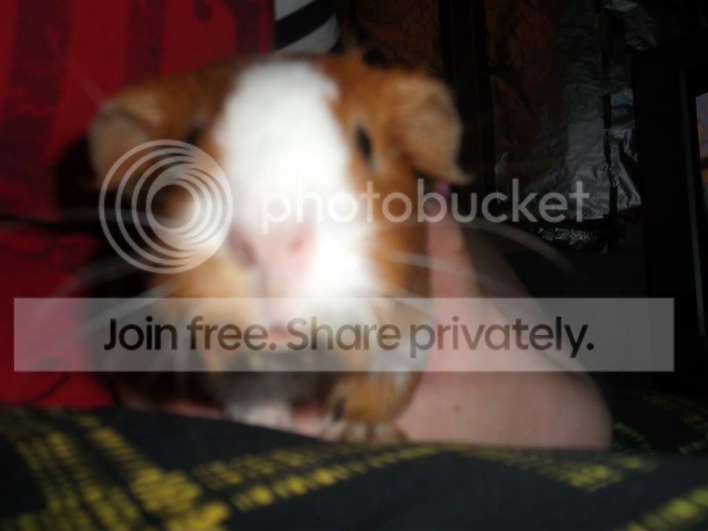 DSCF3046.jpg